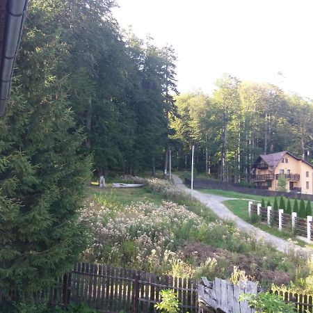 Apartament La Poteca Ursului Διαμέρισμα Buşteni Εξωτερικό φωτογραφία